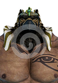 Horus god of kingship and the sky id portrait