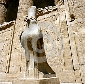 Horus statue at the Horus Temple in Edfu/Idfoe