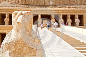 Horus. Temple of Hatshepsut. Luxor, Egypt