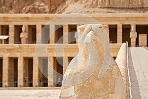 Horus. Temple of Hatshepsut. Luxor, Egypt