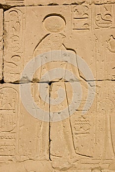 Horus, Temple of Seti I photo