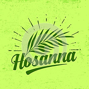 Hosanna and palm frond photo