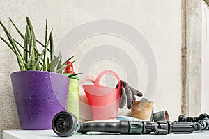 A hose with a diffuser head, gloves, empty pots, a salmon-colored watering can, and a green hose