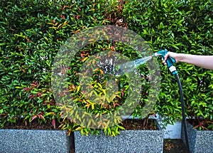 Hose nozzle spraying water