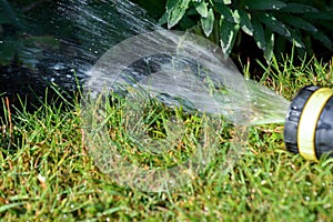 Hose pipe sprinkler watering garden lawn and flower bed