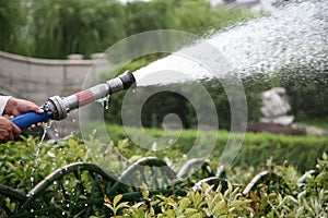 Hose spraying crops with water