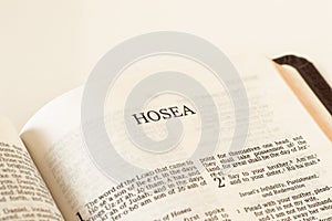 Hosea Bible Book on white background. A close-up