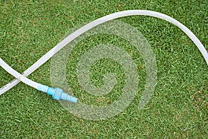 Hosepipe on grass in garden, top view