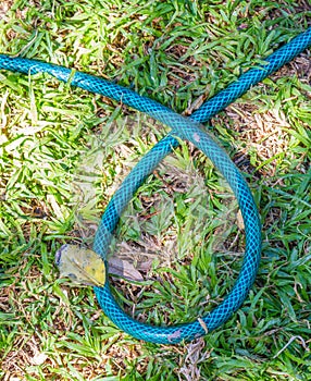 Hosepipe looped in a shape on a lawn