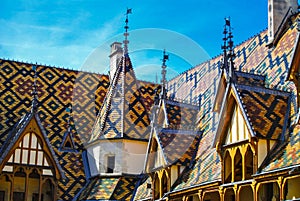 Hospices de Beaune Hotel Dieu Roofline