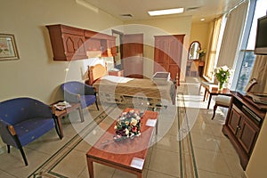 Hospital bed bedroom