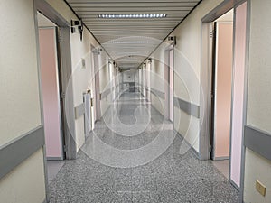 The hospital corridor