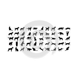 Hospital Health Animal Pet Care Veterinary Clinic Friends Safety Silhouette Graphic Love Circle Modern Healthcare Dog Cat Logo Ico