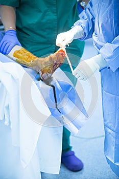 Hospital operating room medical surgery operation