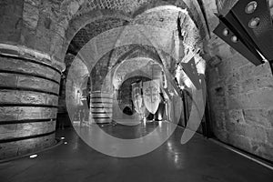 The Hospitaller Fortress in Akko photo