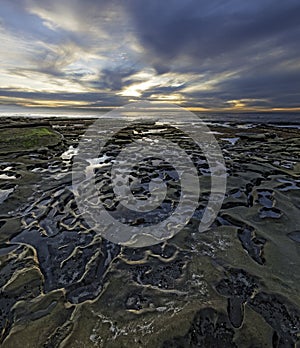 Hospitals Reef in La Jolla, California