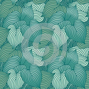 Hosta Leaf Pattern in Blue-Green