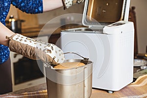 Hostess takes fresh bread from an electric bread machine