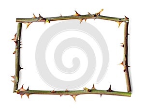 Hostile symbol thorn frame