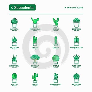 Hosting concept with thin line icons: VPS, customer support, domain name, automated backup, SSD, control panel, secure server,