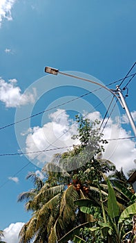 Hot afternoon under the street lamp poles and coconut trees