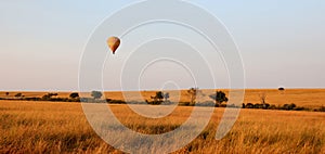 Hot air ballons over the masai mara game park