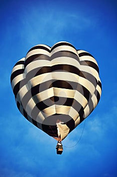 Hot air balloon