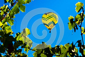 Wine Country Ballooning photo