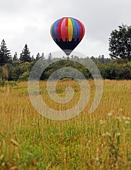 Hot air balloon field trees