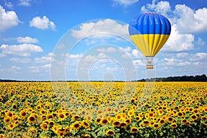 Hot Air Balloon with Flag of Ukraine Fly Over Sunflowers Field. 3d Rendering