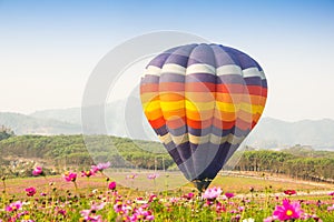 Hot air balloon