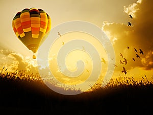 Hot air balloon flying with birds in sunset sky,