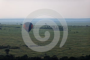 Hot air balloon flying over the Masai Mara national reserve in Kenya.