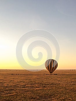 A hot air balloon launches from the ground on the plains of Serengeti National Park in Tanzania, Africa at sunrise