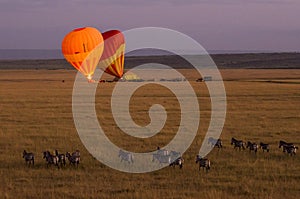 Hot air balloon in the Masai Mara photo