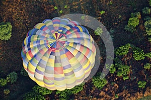 Hot air balloon over bushes