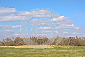 Hot air balloon over meadows with reed bare willow trees in the flemish countryside