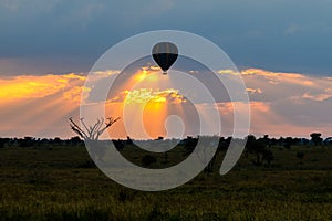 Hot air balloon over the plains of the Serengeti National Park at sunrise, Tanzania