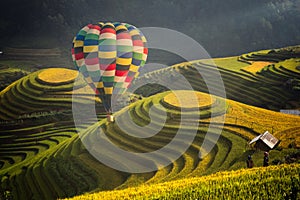 Hot air balloon over rice field in Mu cang chai