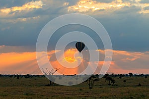 Hot air balloon over Serengeti National Park in Tanzania at sunrise