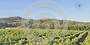 Hot air balloon over vineyard