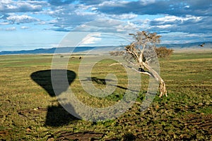 Hot air balloon ride on the big green plains of masai mara in kenya/africa.