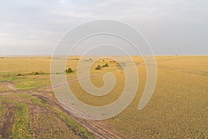 Hot air balloon shadow on the plains of the Masaai Mara in Kenya Africa. Dirt roads and zebras in distance