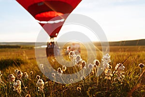 Hot air balloon in the shape of a heart is flying over the flower field at sunset, sunrise