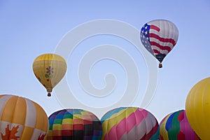 Hot Air Balloon on Summer Day