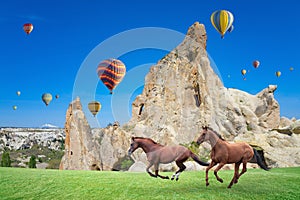 Hot air ballooning and two horses running in Cappadocia, Turkey.