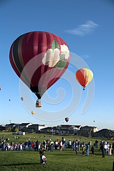 Hot air balloons