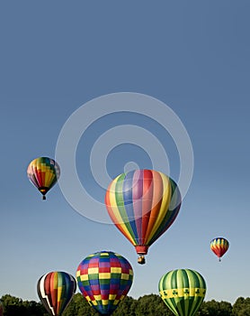Hot-air balloons ascending or launching at a ballooning festival