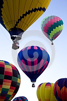 Hot Air Balloons At Dawn At The Albuquerque Balloon Fiesta