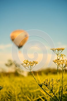 Hot Air Balloons in Flight. Hot Air Balloon on morning sky background.